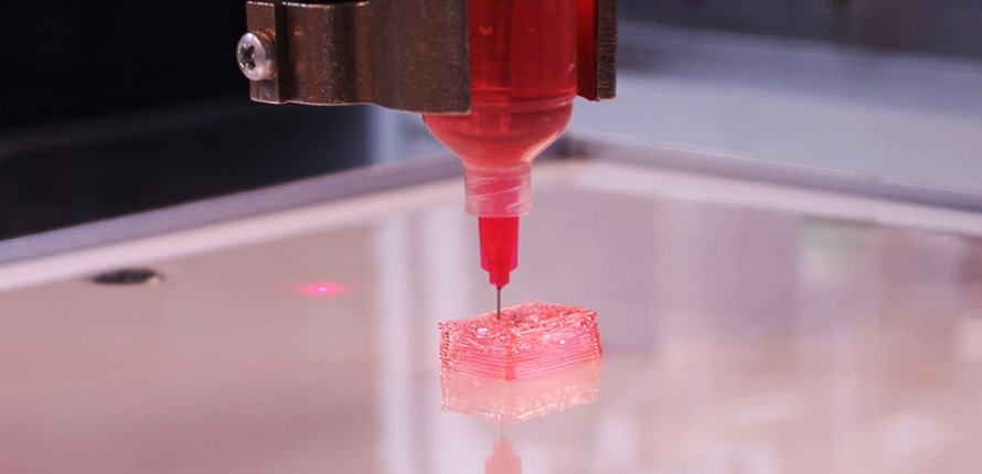 The Year in Review: Bioprinting in 2019