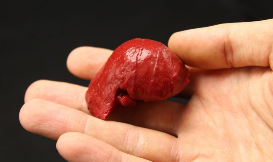 3D Printed Silicone and Partnerships in Today’s Business News