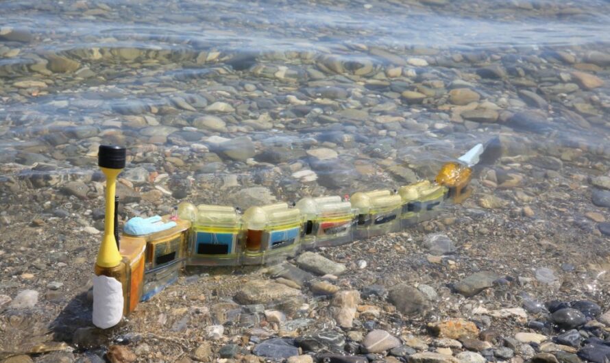 Eel-Like Envirobot Detects Water Pollution By Swimming Through It