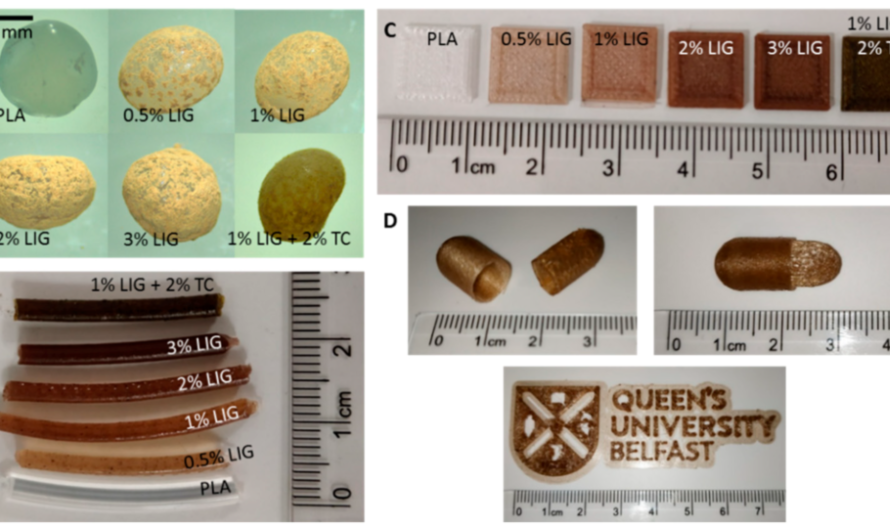 Belfast: 3D Printing with Antioxidant PLA Composites Shows Potential in Medical Applications