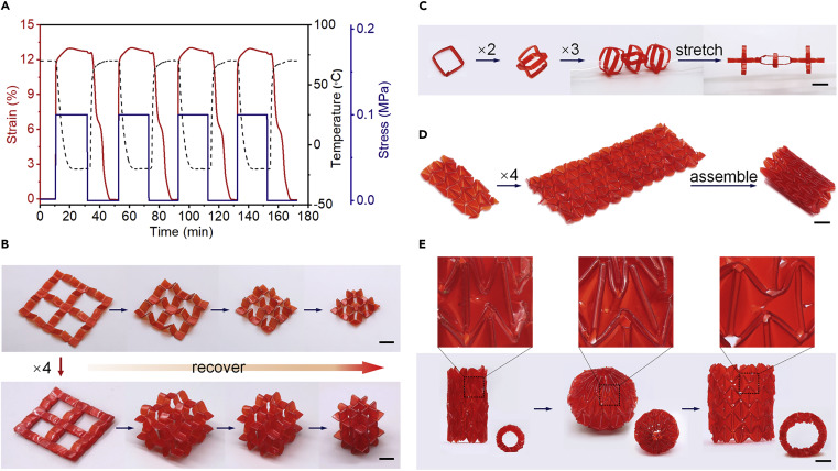 Zhejiang University Researchers 4D Print Modular Structures