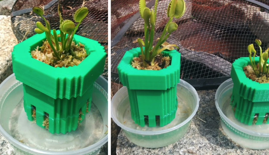 BEWARE: These 3D Printed Super Mario Bros. Warp Pipes Have Real Carnivorous Plants Living Inside!
